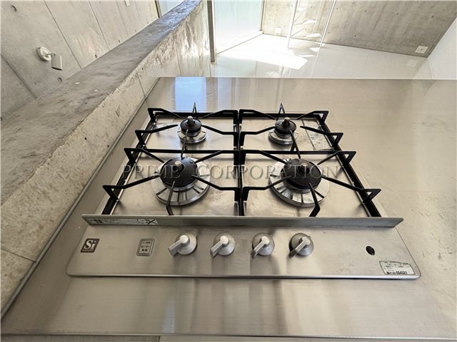 il cielo la foresta  その他