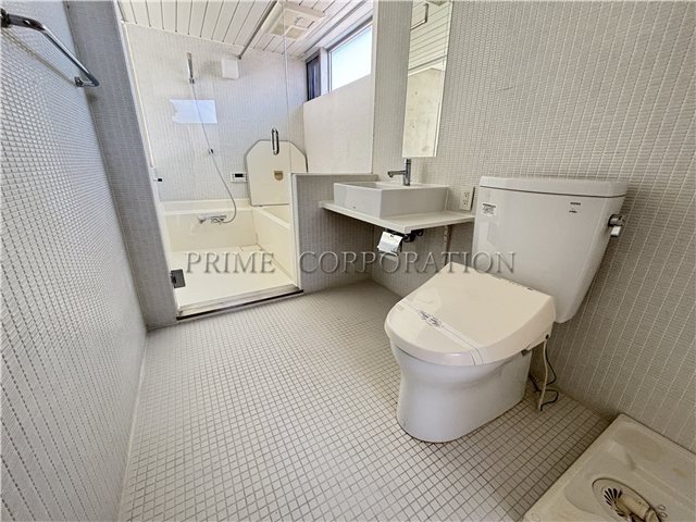 il cielo la foresta  その他