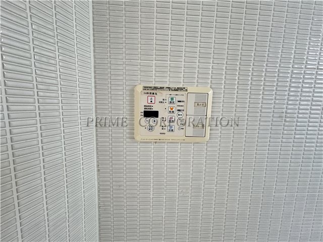 il cielo la foresta  その他