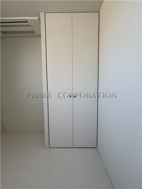 il cielo la foresta  その他