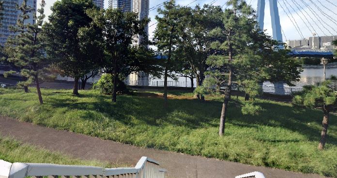 東雲キャナルコートCODAN20号棟 公園
