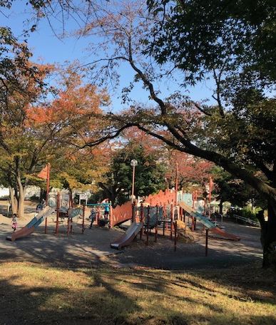 メゾンヴィクトワール梶ヶ谷 公園