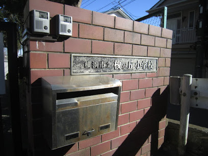 大貫ラガーランド 小学校
