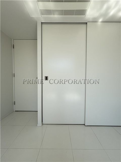 il cielo la foresta  その他