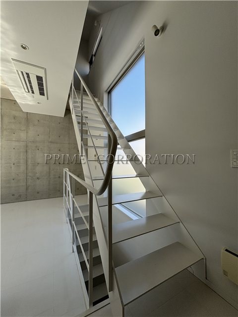 il cielo la foresta  その他