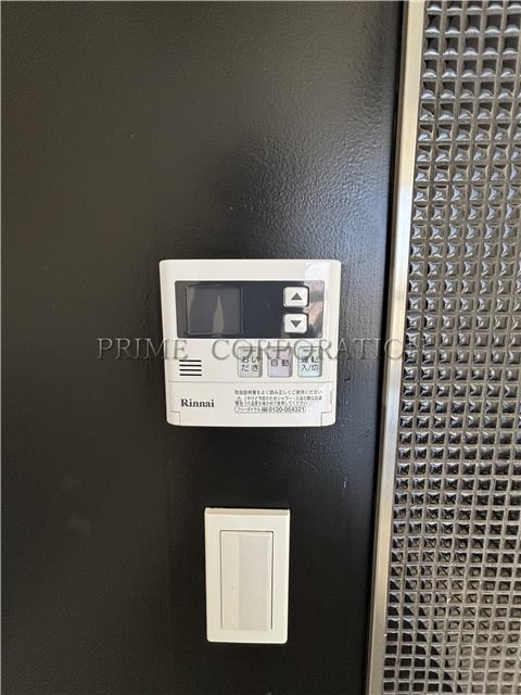 il cielo la foresta  その他