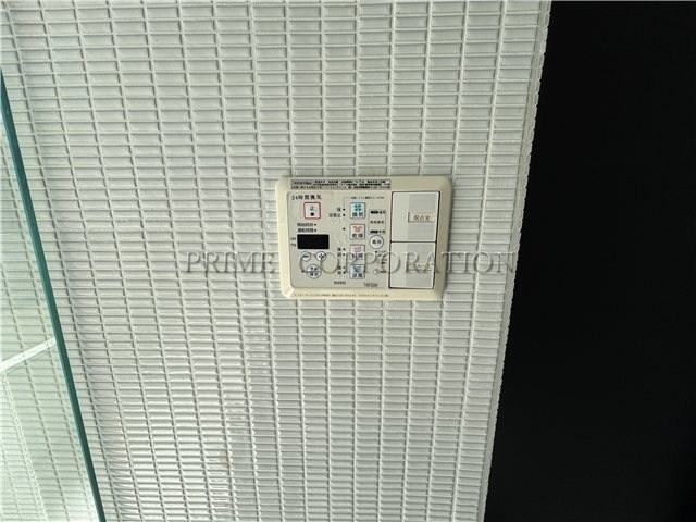 il cielo la foresta  その他