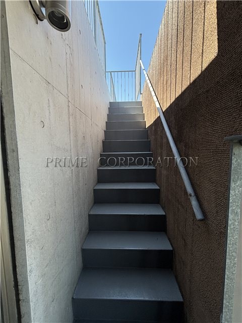 il cielo la foresta  その他