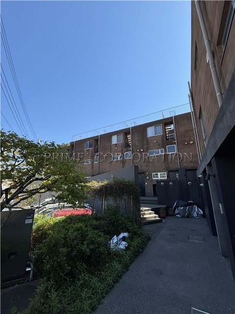 il cielo la foresta  その他