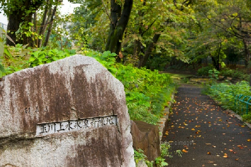 アンソレイユ明大前 公園
