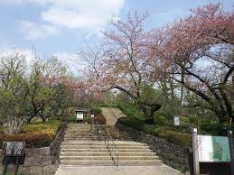 神奈川県横浜市青葉区梅が丘 公園