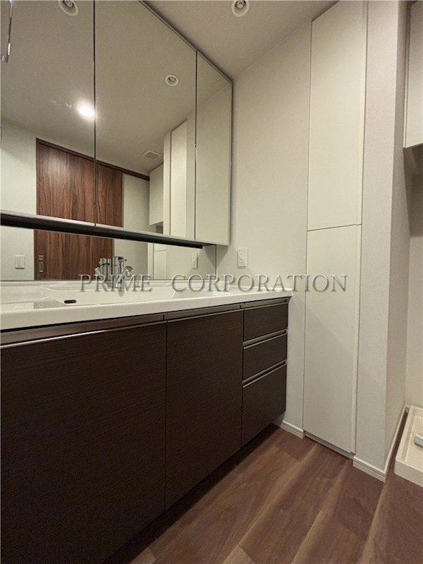 ザ・パークハウス西新宿タワー60 洗面所
