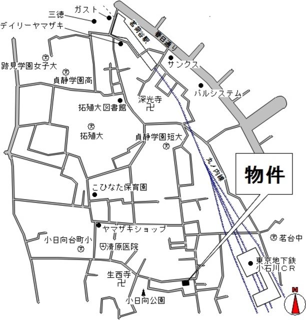 フェリセス・コヒナタ その他
