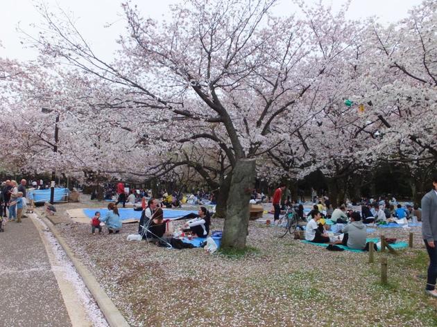 パークアクシス幡ヶ谷 公園