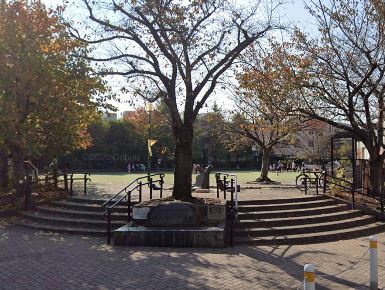 アステール渋谷本町 公園