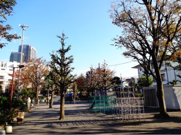 シティカレント代官山 公園