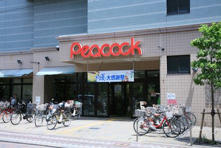 ヴィラアイレックス奥沢 スーパー