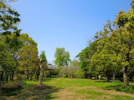 クローカス代田 公園