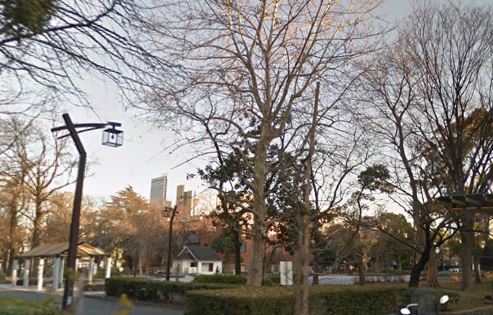 ウェリスタワー愛宕虎ノ門  公園