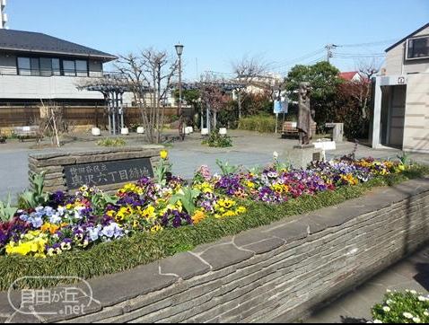 東京都世田谷区玉川田園調布２丁目 公園