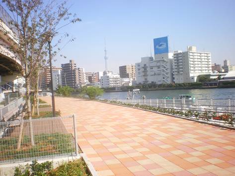 グランカーサ清澄白河 公園