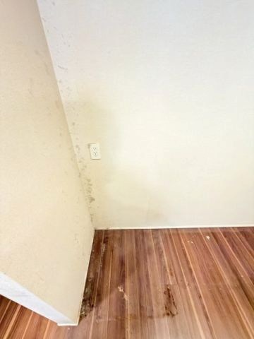 東京都港区高輪４丁目 その他部屋・スペース