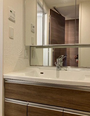 Premier市谷薬王寺 洗面所