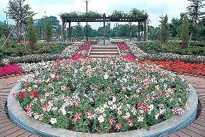 ウィステリア用賀 公園