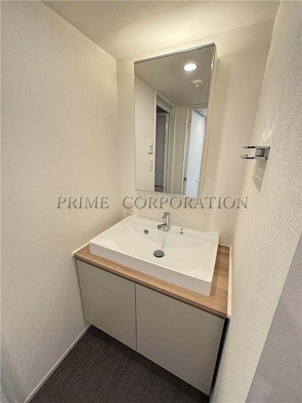 エフローレプルミエ武蔵小山 洗面所