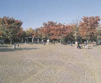 神奈川県川崎市中原区市ノ坪 公園