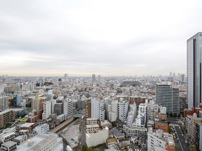 ザ・パークハウス西新宿タワー60 眺望