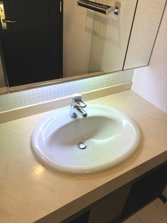 プレステージ浜田山 洗面所