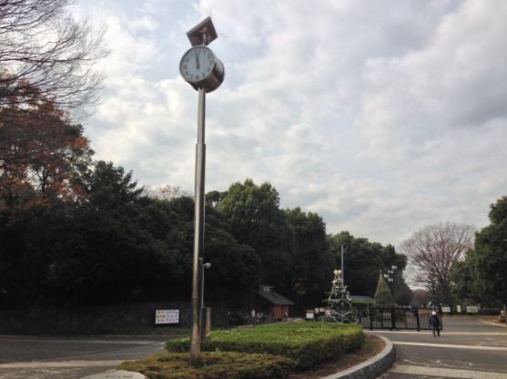 コンフォリア原宿 公園