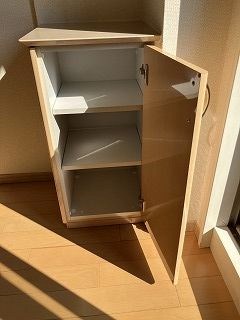 セントラルレジデンス新宿シティタワー 収納
