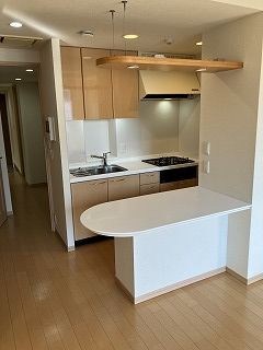 セントラルレジデンス新宿シティタワー キッチン