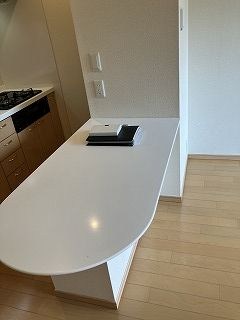 セントラルレジデンス新宿シティタワー その他部屋・スペース