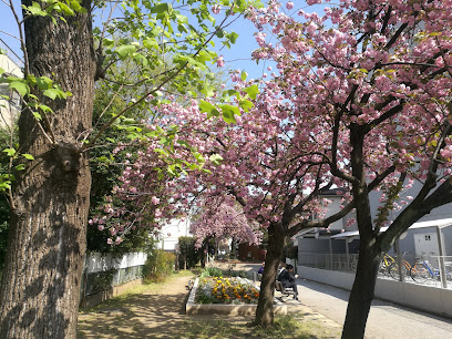 オープンブルーム二子 公園