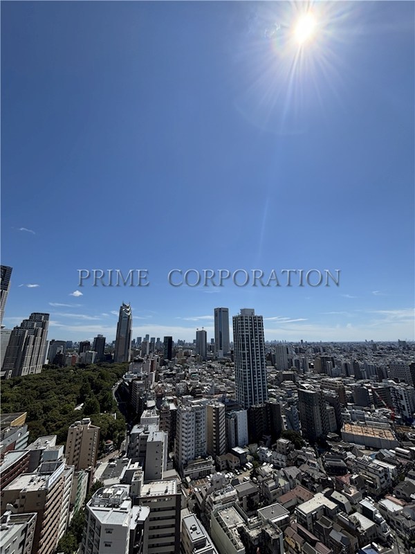 パークタワー西新宿 眺望