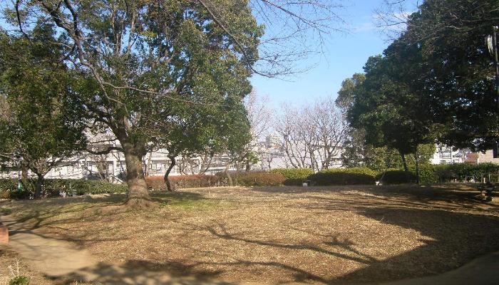ヒルトップテラス 公園