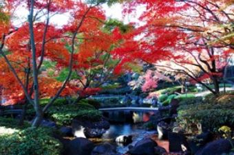 常盤レジデンシア荻窪 公園
