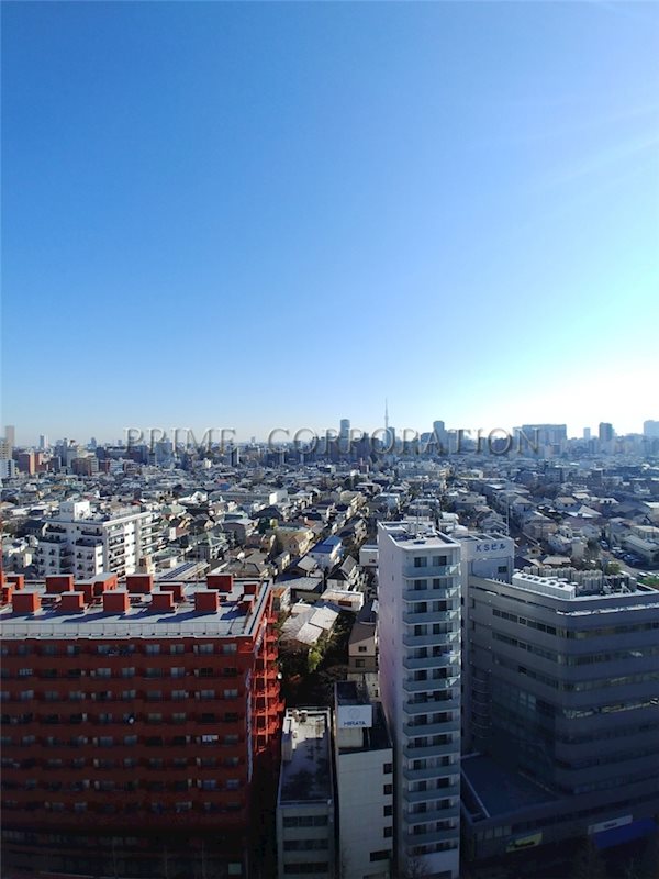 エルアージュ小石川B棟 眺望