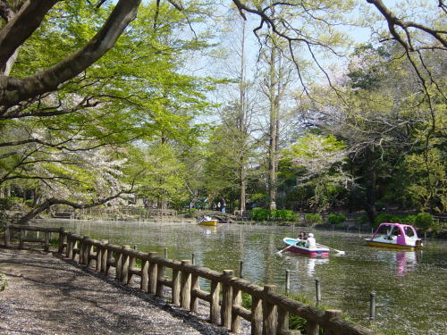 アズ井の頭レジデンス 公園
