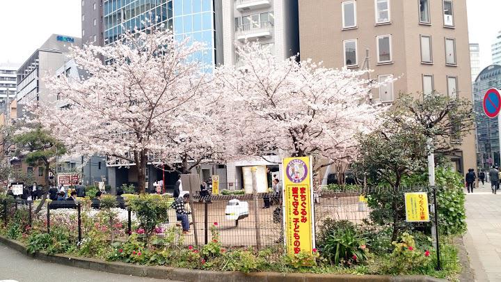 二番町パークフォレスト 公園