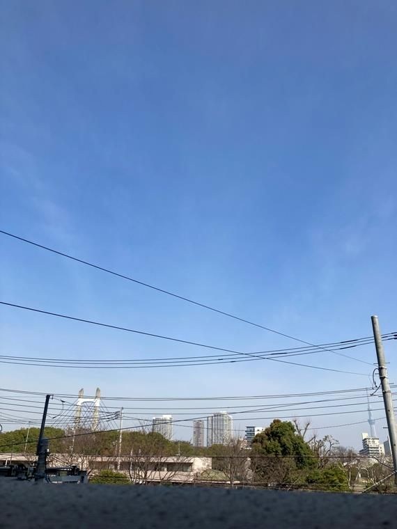ヴェレーナ木場公園 その他
