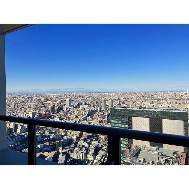 ザ・パークハウス西新宿タワー60 眺望