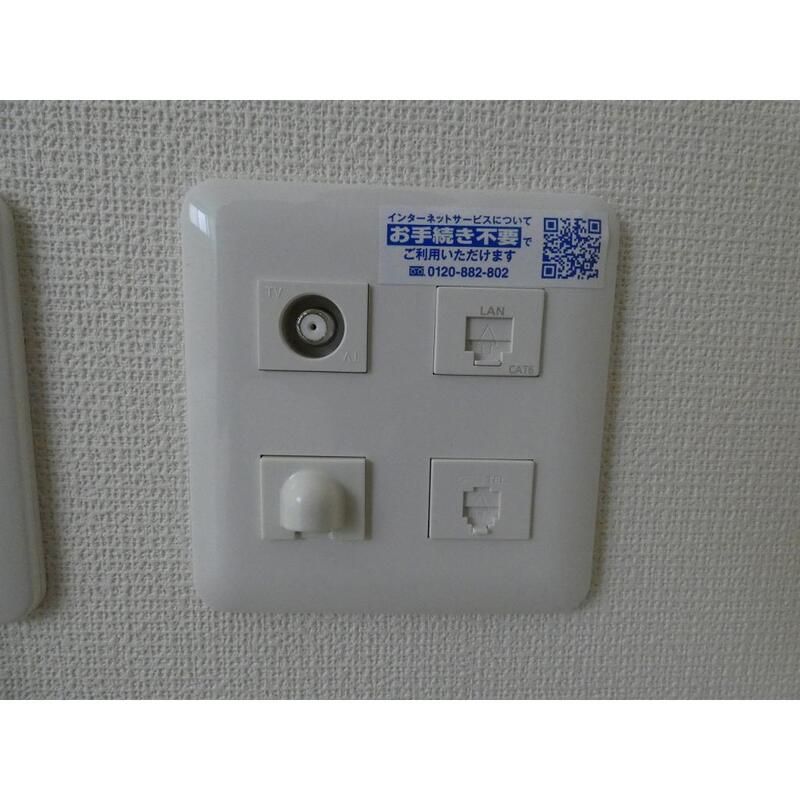 カステロ　ピノ その他