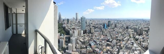 ザ・パークハウス西新宿タワー60 眺望
