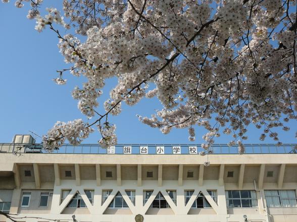 アジールコート品川中延 小学校