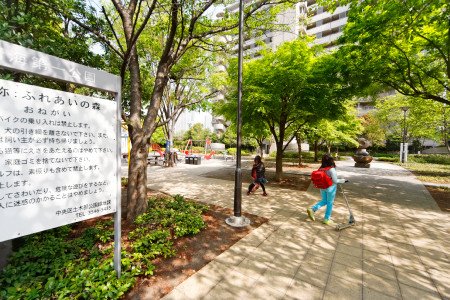 晴海アイランドトリトンスクエアビュータワー　1号棟 公園