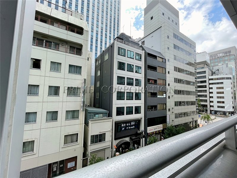 ミレアコート銀座プレミア 眺望
